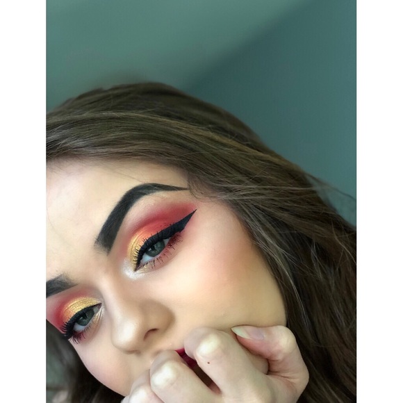 Meet your Posher, Shelby - Picture 4 of 4